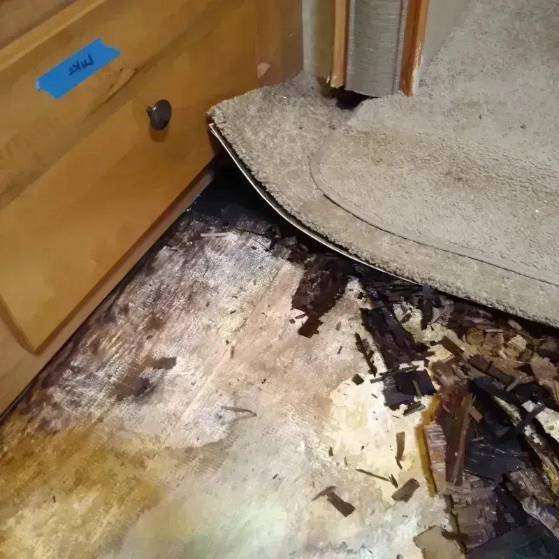 Wood Floor Water Damage in Woodstock, AL